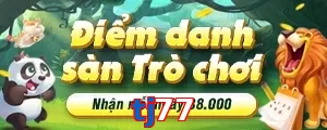 tj77
